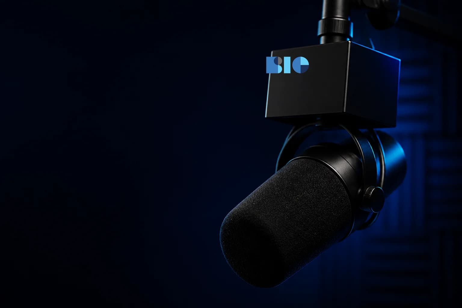 Professional broadcast microphone with the official BIG logo on the mic flag